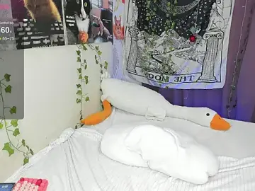 Stripchat Nude Webcam of SophiaRyder