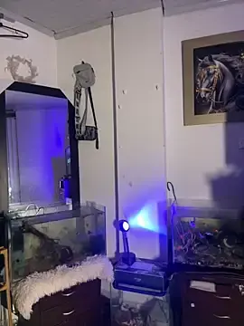 Stripchat Free Porn Cam of CRAZY-BOY99