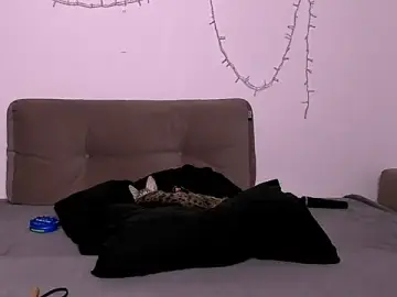 Stripchat Sex Cam of LadyTrep