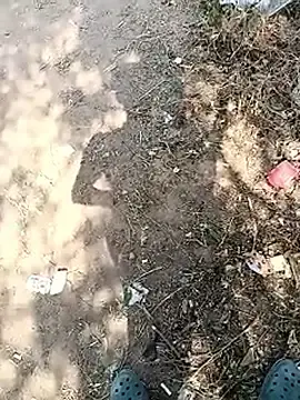 Stripchat Sex Chat of Indian_desiboy