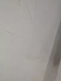 Stripchat Live Sex Cam of Master_RockyX