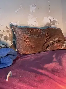 Stripchat Best live sex cam show of hrrounsb99