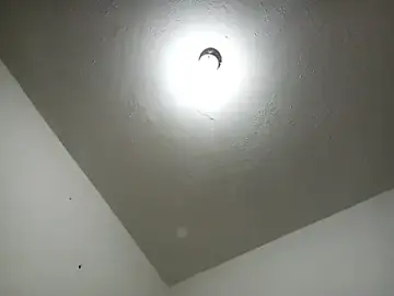 Stripchat Watch Live Sex Cams of michell_boobs_