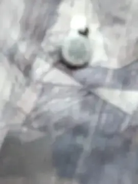 Stripchat Free Live Porn of honeypani