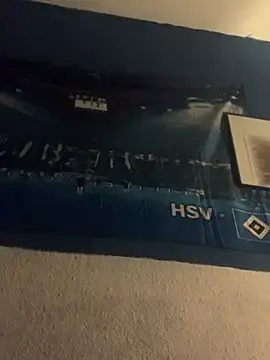 Stripchat Nude Webcam of GeilerHSVFAN1989