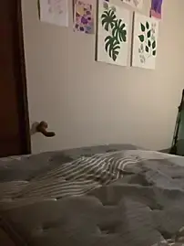 NikkelSofia from stripchat