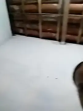 Stripchat Sex Cam of FelipeNascimentoaz