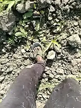 Stripchat Free Live Porn of ThethunderPo