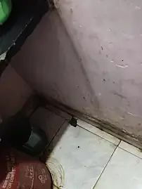 Stripchat Live Sex of Riya_sexsena