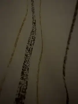 Stripchat Free Porn Cam of dvoi