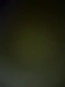 Stripchat Live Sex Cam of TheDime