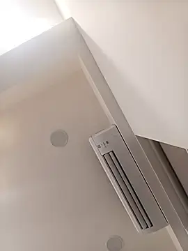 Stripchat Live Porn of VJ17