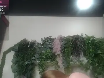 Stripchat Private Sex Chat of scyrim2