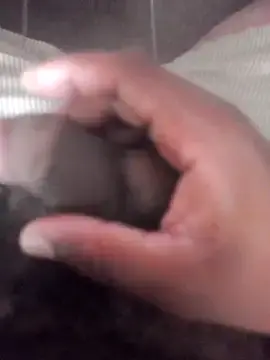 Stripchat Watch Live Sex Cams of brian08497