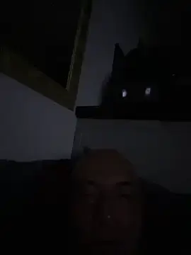 Stripchat Free Porn Cam of dogfrota