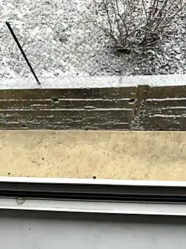 Stripchat Free Live Porn of xy_monkeyBigCock