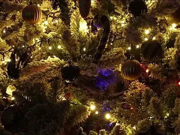 Stripchat Watch Live Sex Cams of VitoriaCarusso