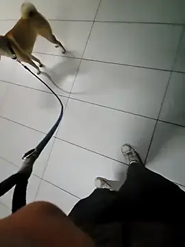 Stripchat Live Porn of mrvales