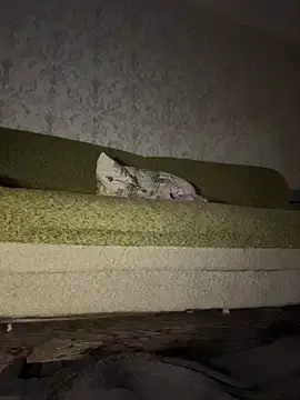 Stripchat Sex Cam of MissDasha