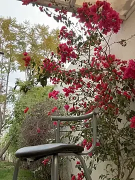 Stripchat Private Sex Chat of Gipsyboysteve