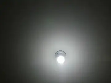 Stripchat Best Webcam of sara_williams01