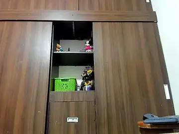 Stripchat Live Porn of miss_bigcockts