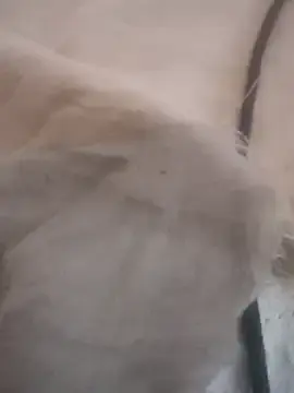 Stripchat Best live sex cam show of Bigdick420anal