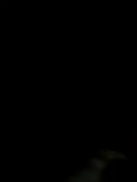 Stripchat Watch Live Sex Cams of Night_outcam