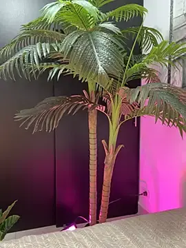 Stripchat Live Sex Cam of Mau_White