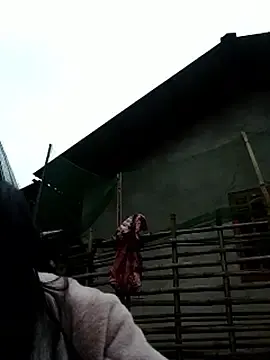 Diana-02 from stripchat