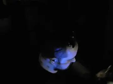 perversalus from stripchat