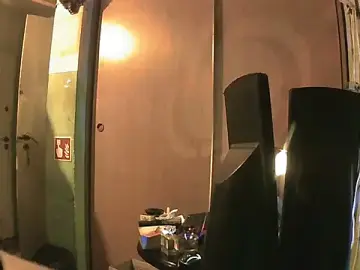 Stripchat Adult Webcams of perversalus