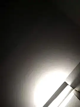 Stripchat Free Porn Cam of Clit_commanderr