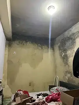 Stripchat Live Sex Cam of Chloe_Leaozinho