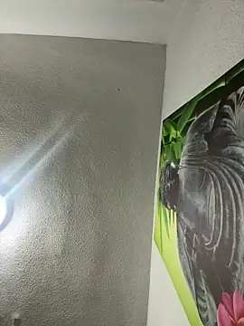 Stripchat Free Porn Cam of aavrdvh33