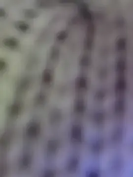 Stripchat Live Sex Cam of Hot-Sana2