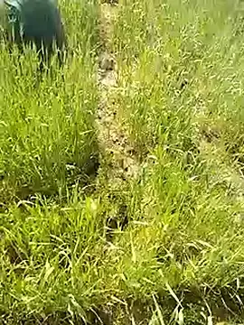 Stripchat Watch Live Sex Cams of hornycouple20000