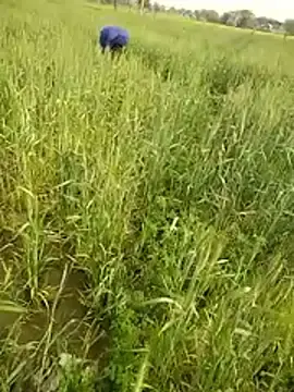 Stripchat Best live sex cam show of hornycouple20000