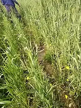 Stripchat Watch Live Sex Cams of hornycouple20000