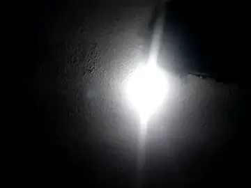 Stripchat Adult Webcam of Pollisuckers17