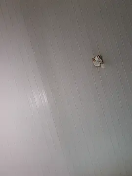 Stripchat Best live sex cam show of Ahrya_