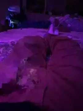 Stripchat Live Porn of Themechanic420