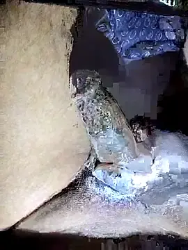 Stripchat Free Porn Cam of Cute_boy_690