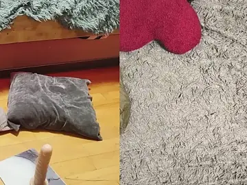 Stripchat Adult Video Chat of LoveInAllHoles