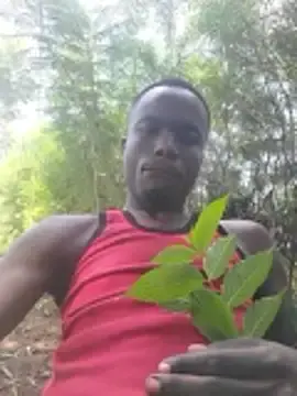 Stripchat Nude Webcam of Javan_