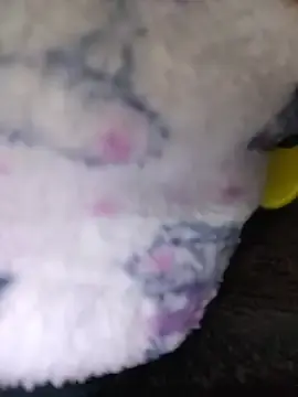 Stripchat Nude Webcam of Dani-peggin