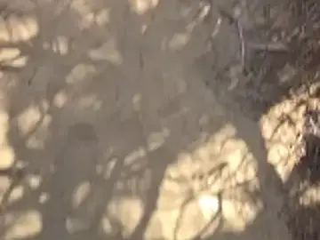 Stripchat Sex Chat of Trucker_Hunter