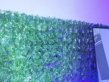 Stripchat Free Porn Cam of BellaRoux1