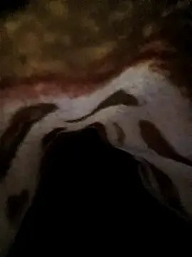 Stripchat Adult Video Chat of Mailsonp