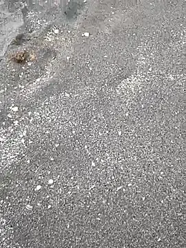 sarahkat86 from stripchat